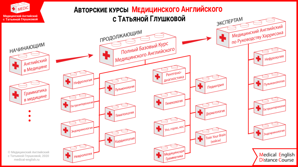 Структура курсов Медицинского Английского